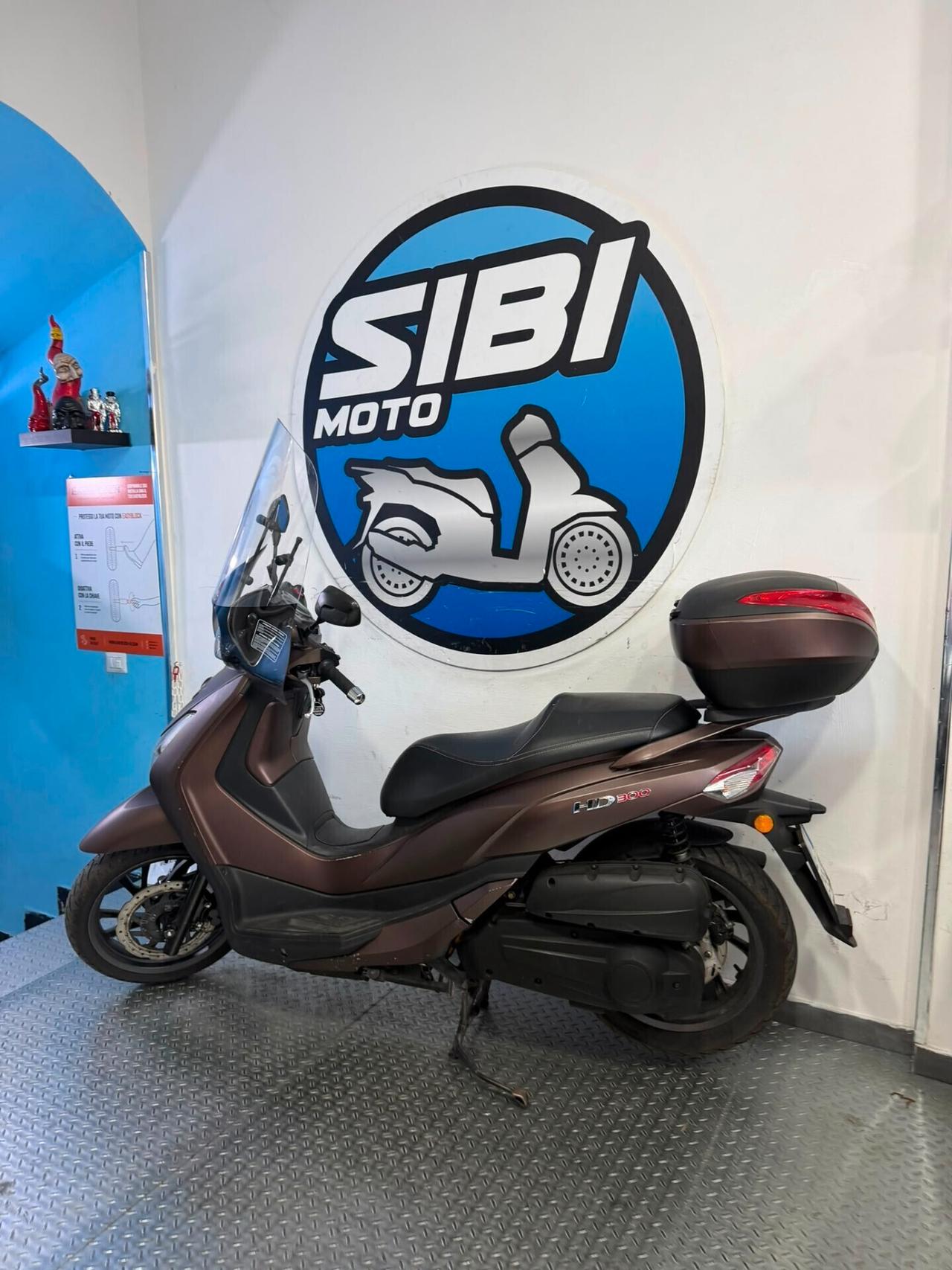 Sym HD 300