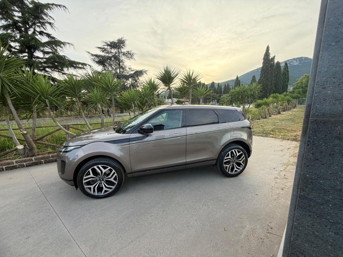 LAND ROVER - Range Rover Evoque - 2.0 TD4 150CV 5p. Business Edition SE