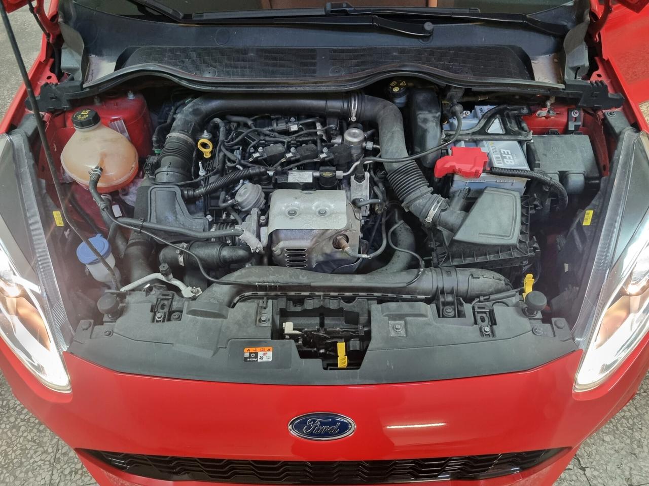 Ford Fiesta 1.0 Ecoboost 100 CV 5 porte ST-Line