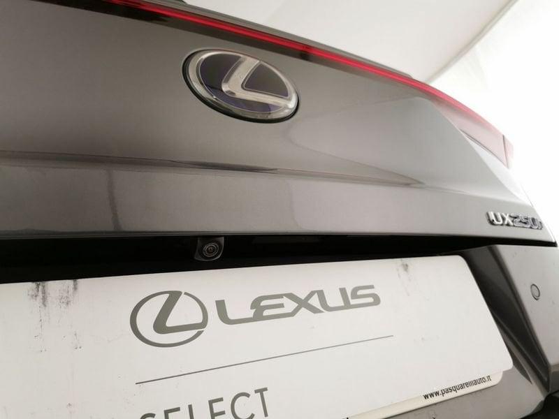 Lexus UX 250h 2.0 F-Sport 2wd cvt