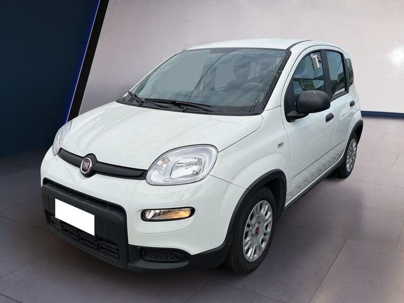 FIAT Panda My23 1.0 70cv Hybrid Panda