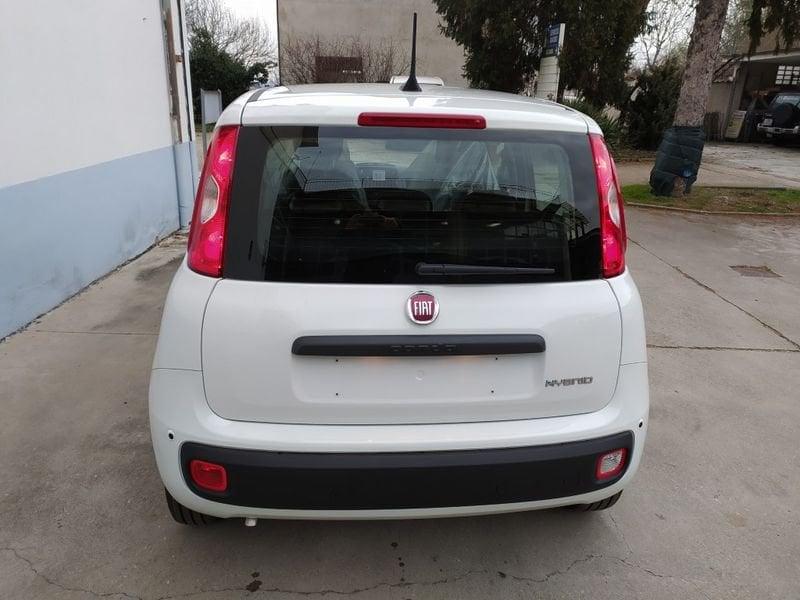 FIAT Panda 1.0 70cv Hybrid Promo Cbc26
