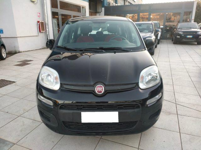 FIAT Panda 1.2 69 Cv Neopatentati