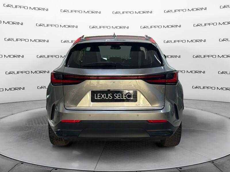 Lexus NX Hybrid Business 2WD