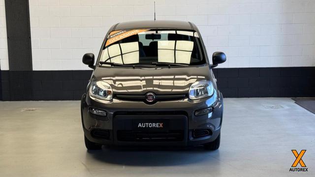 FIAT Panda 1.0 FireFly S&S Hybrid per neopatentati