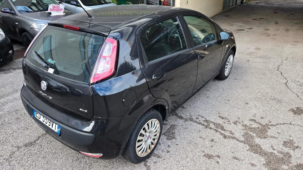 Fiat Punto Evo Punto Evo 1.2 5 porte Neopatentati