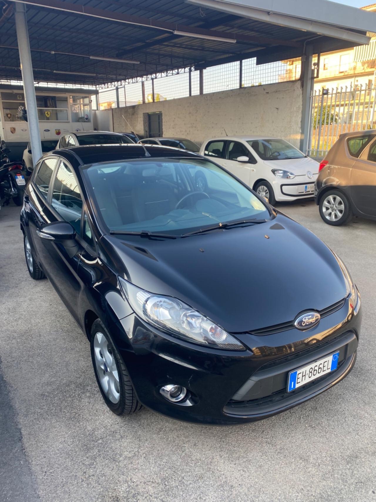 Ford Fiesta 1.4 TDCI Fine 2011 TAGLIANDATA