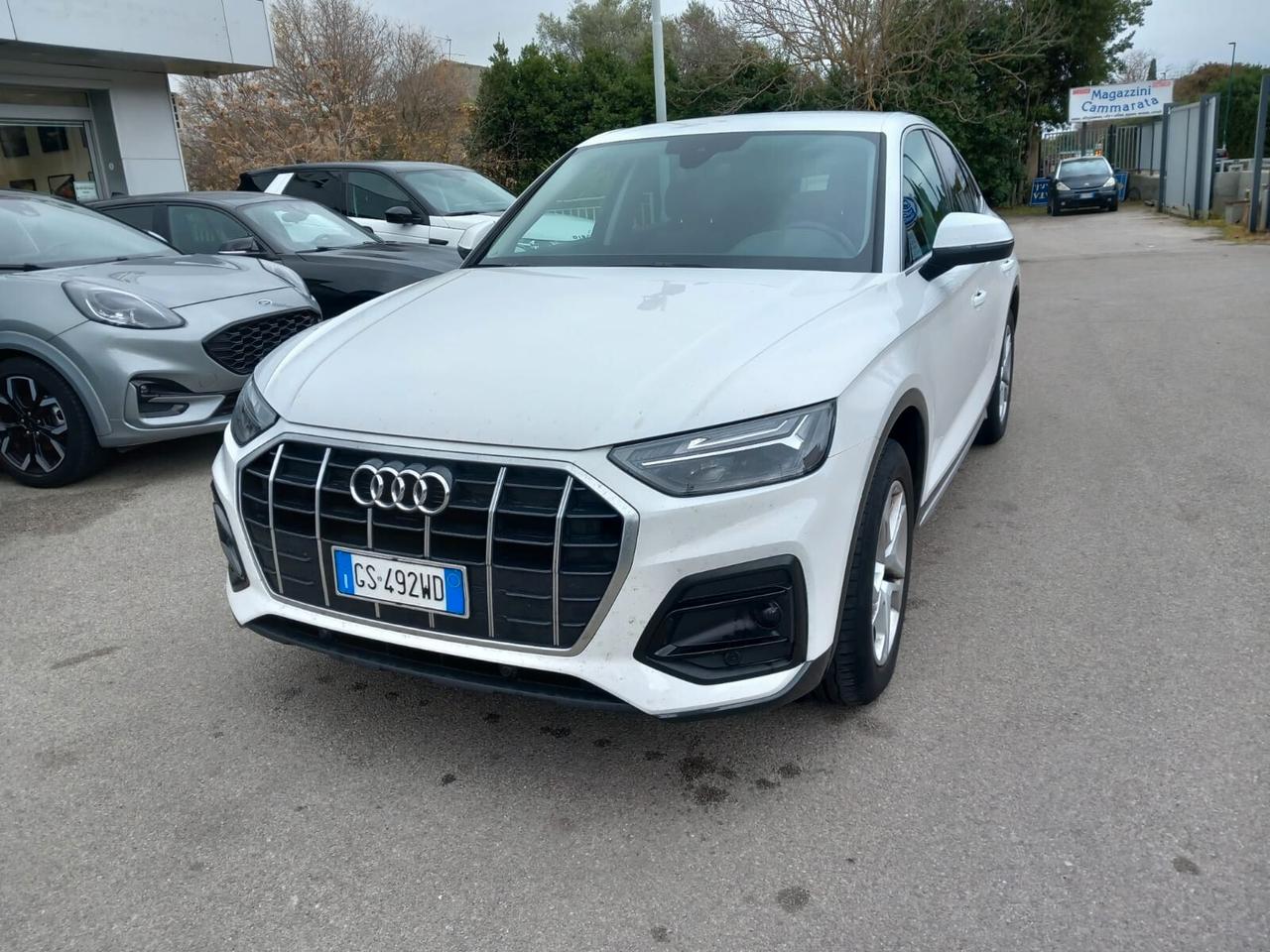 Audi Q5 35 TDI S tronic Business Advanced