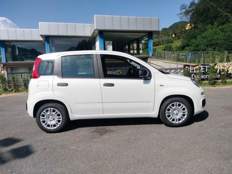 FIAT Pandina 1.0 FireFly 65cv S&S Hybrid Icon con comandi al volante!!