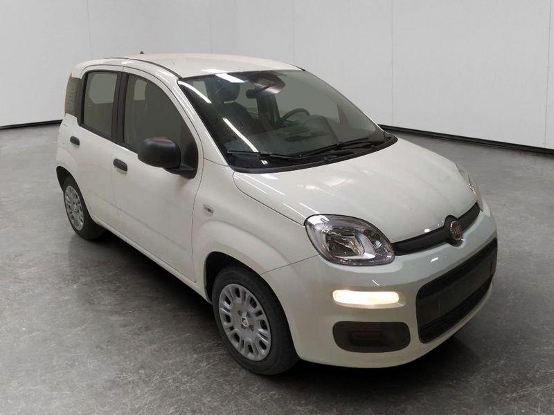 FIAT Pandina 1.0 firefly hybrid Pop s&s 70cv