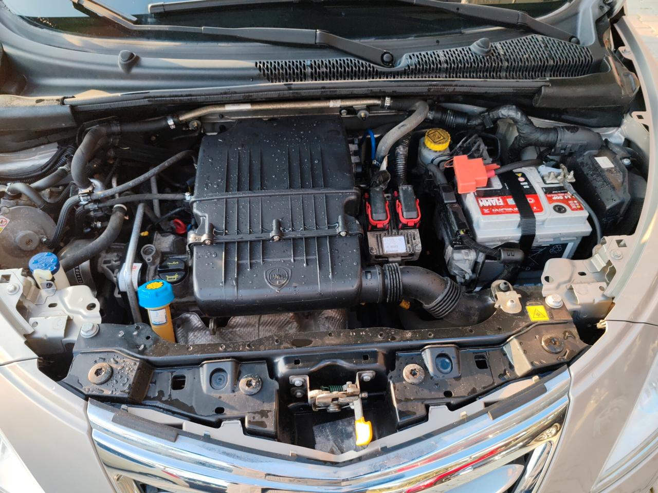 Lancia Ypsilon 1.2 BENZINA GPL