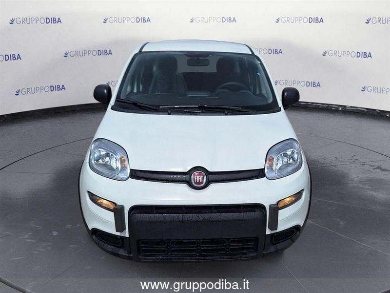 FIAT Panda Serie 7 1.0 70cv HybridPanda