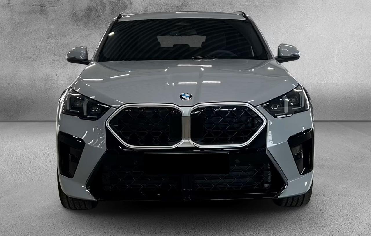 Bmw X2 sDrive20i M Sport MSPORT