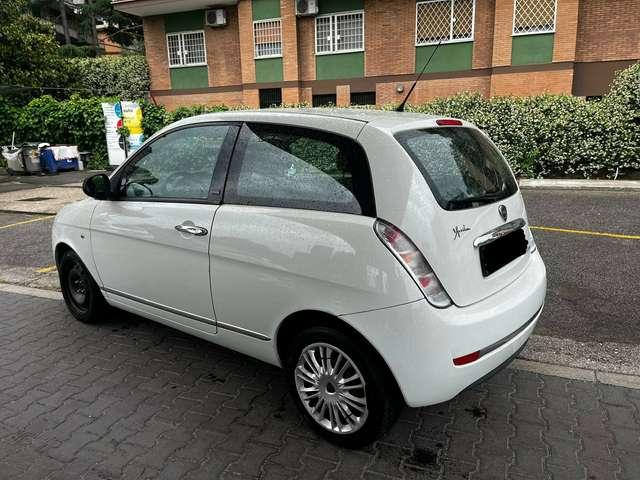 Lancia Ypsilon Ypsilon 1.2 8v Elle 69cv