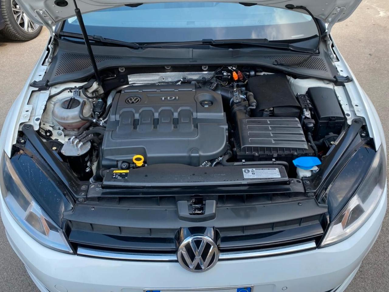 Volkswagen Golf Plus 1.6 TDI DPF Comfortline