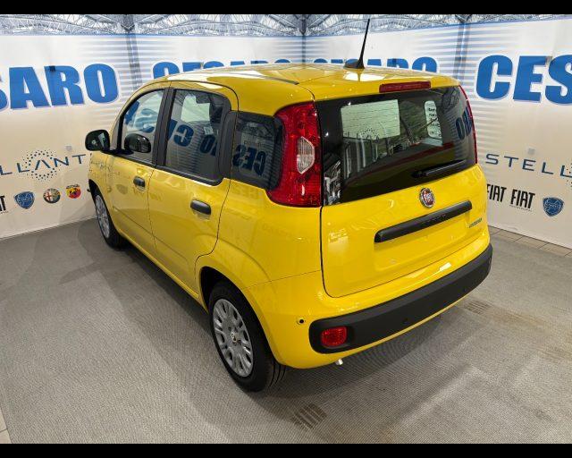 FIAT Pandina 1.0 firefly hybrid Icon s&s 65cv