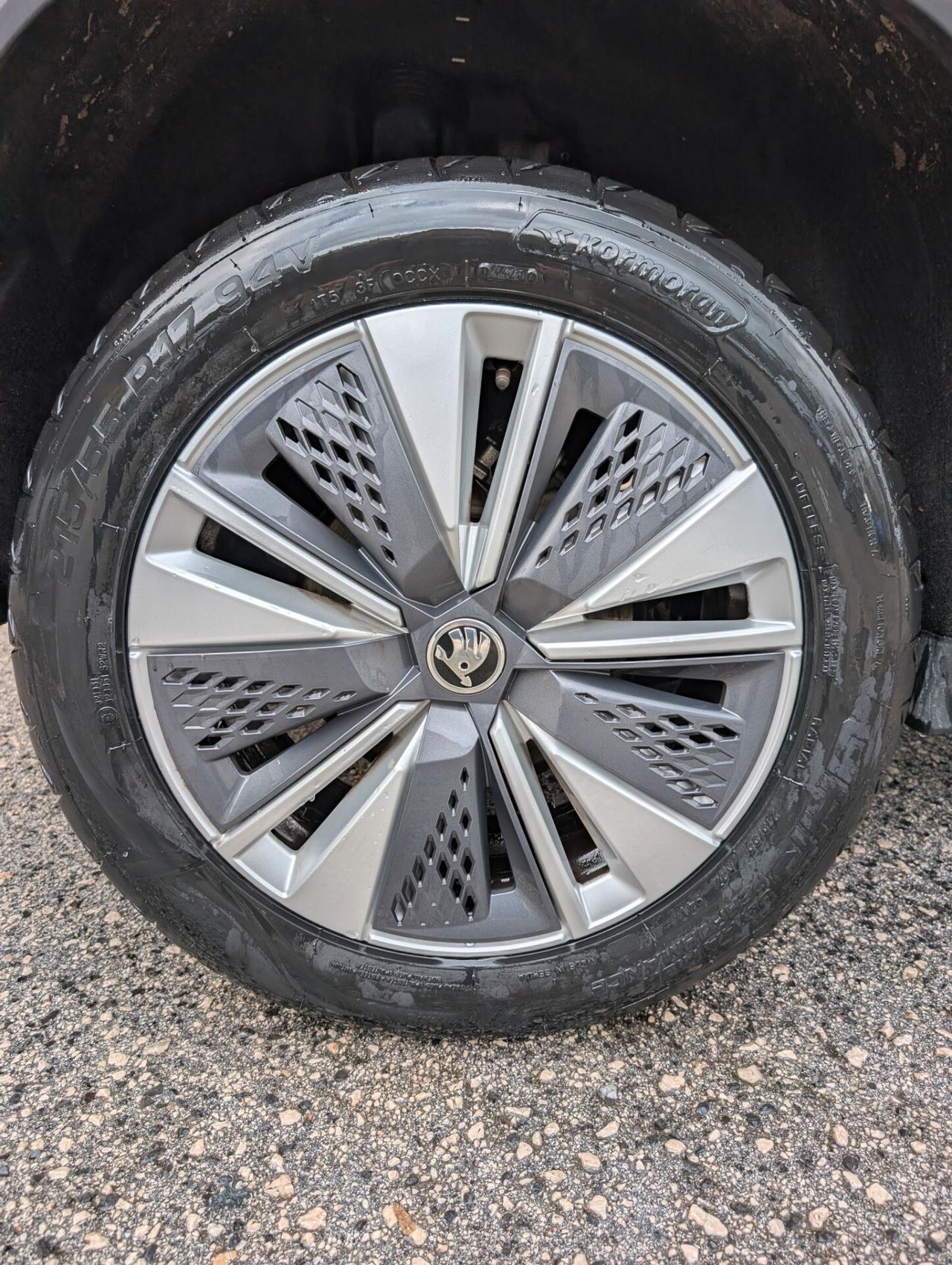 Skoda Karoq 2.0 Tdi 115Cv DSG Executive