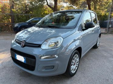 FIAT PANDA 1.2 GPL Easy power Lounge - 2019