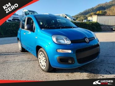 FIAT Panda Panda 1.0 FireFly S&S Hybrid Icon, 5 posti e stereo Bluetooth con comandi al volante!