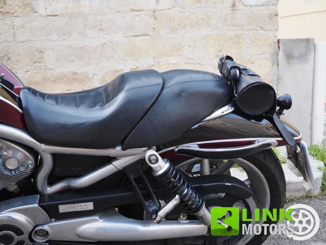 HARLEY-DAVIDSON 1130 V-ROD - VRSCR Street Rod