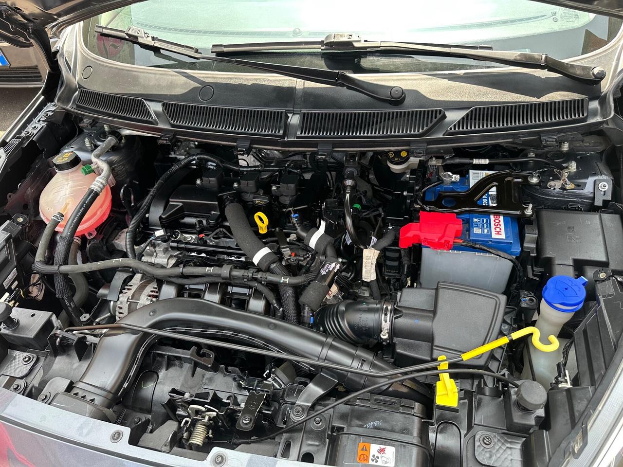 Ford Ka+ 1.2benzina - 2019