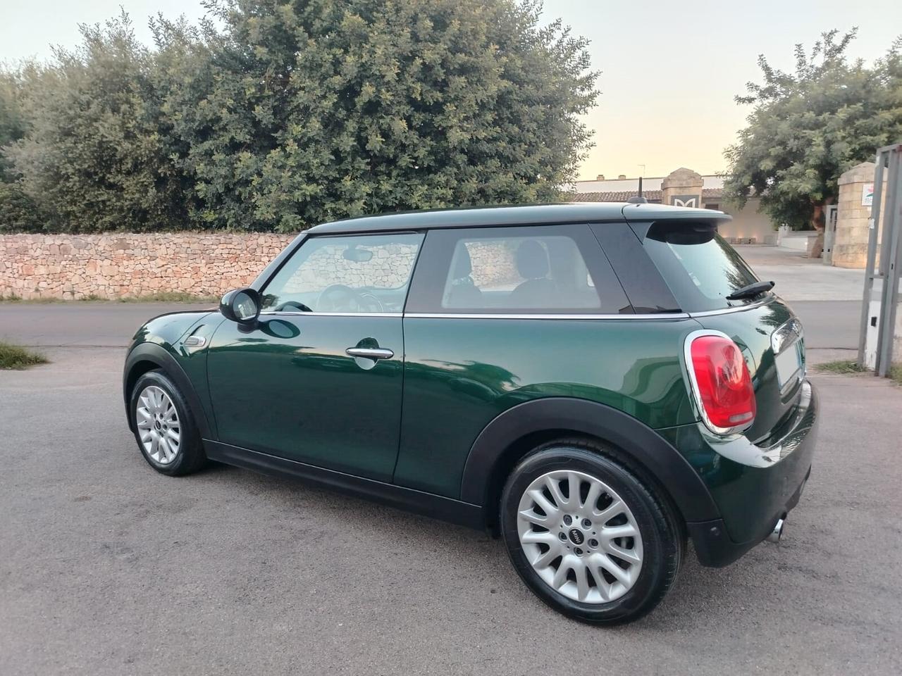 Mini 1.5 One D