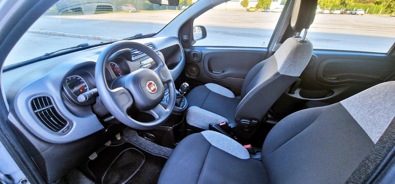 Fiat PANDA 1.0 FireFly 70cv S&S Hybrid