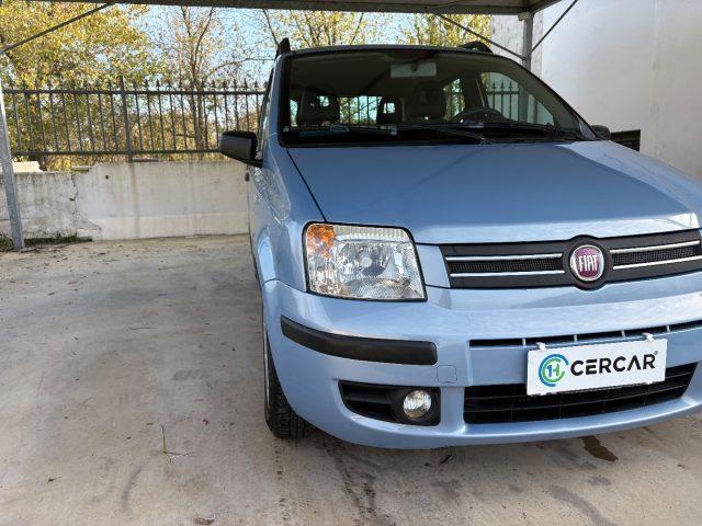 FIAT Panda 1.2 Dynamic OK NEOPATENTATI 5 POSTI EURO 4