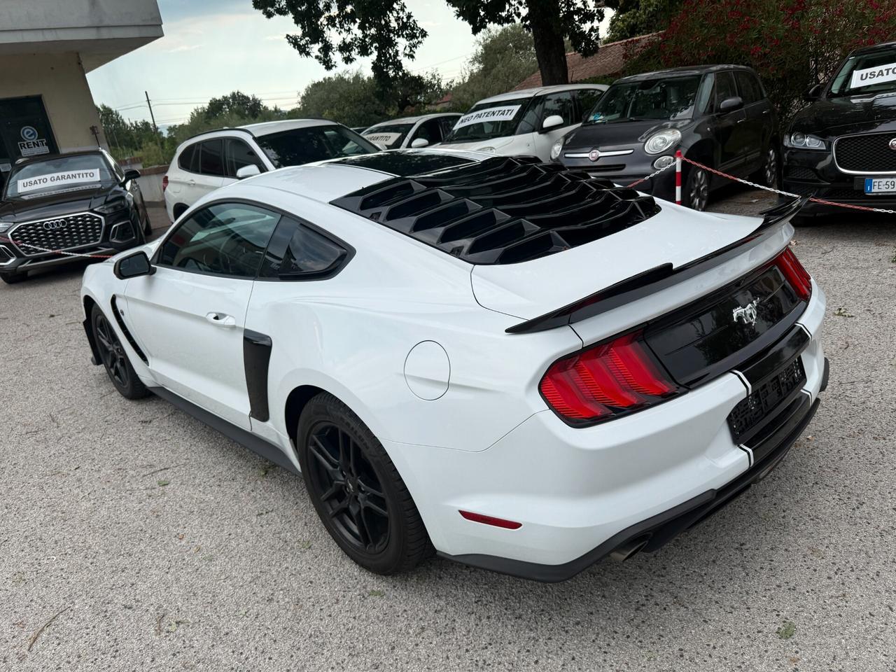 Ford Mustang SHELBY 2.3 EcoBoost 317 cv