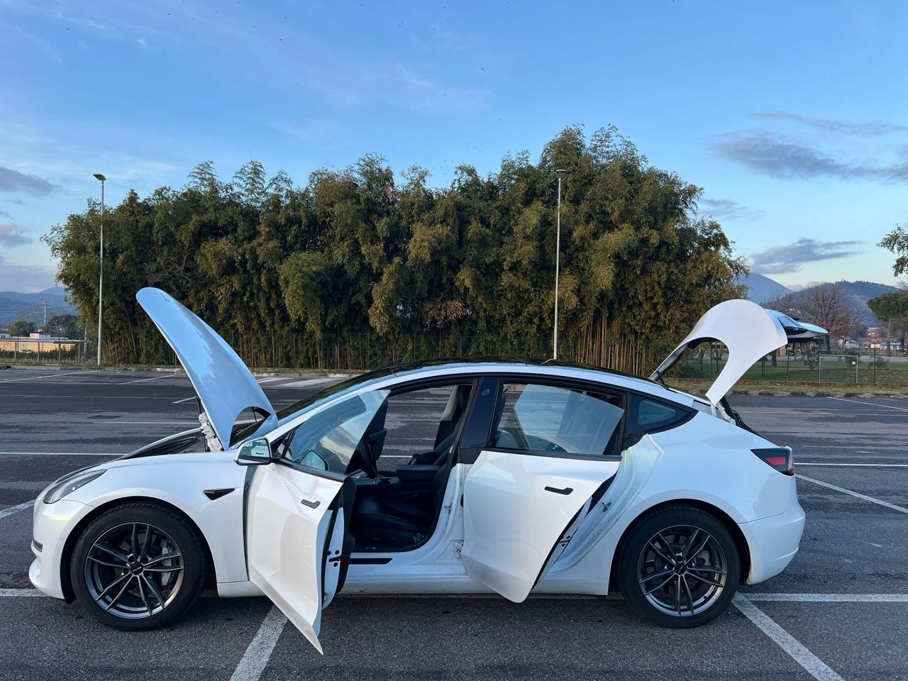Tesla Model 3 Long Range Dual Motor AWD