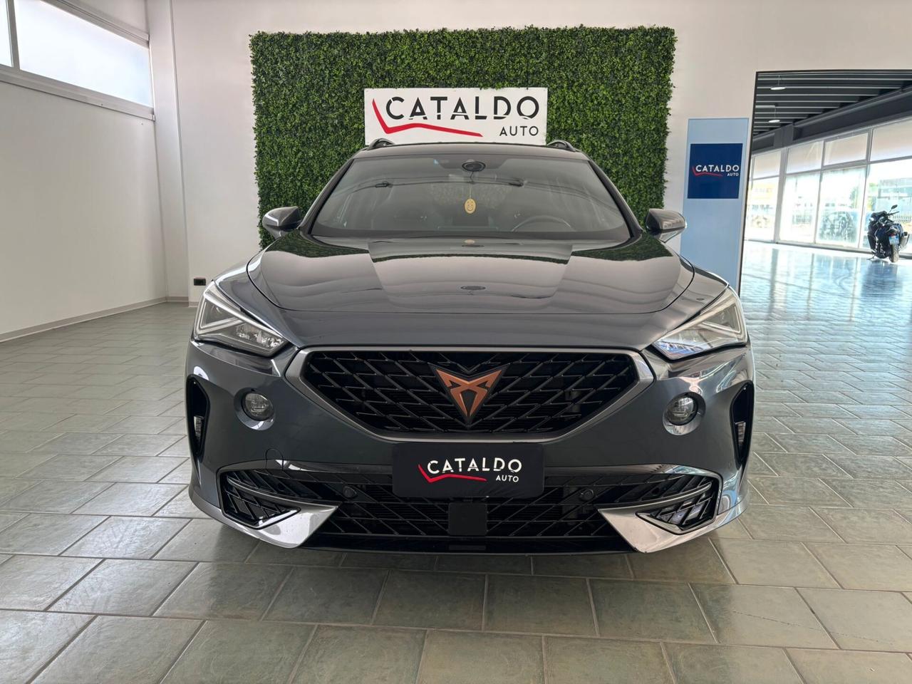 Cupra Formentor 2.0 TDI 4Drive DSG