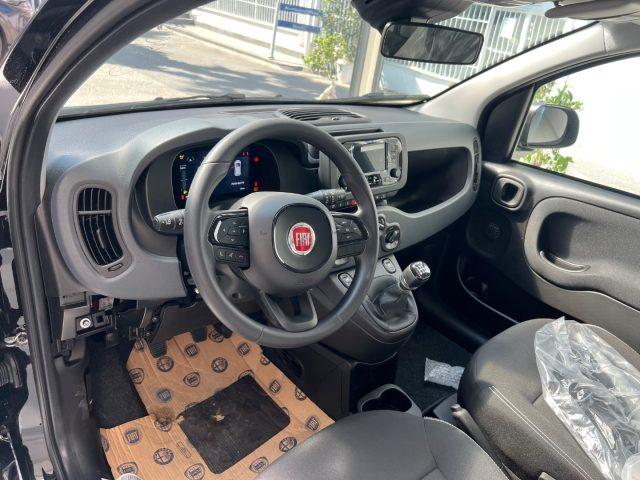 FIAT Panda 1.0 FireFly S&S Hybrid Icon tua da ?149,,00