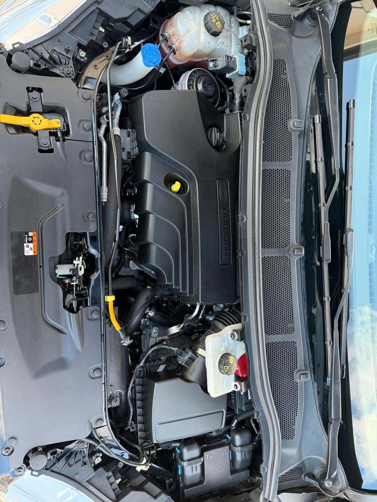 Ford Galaxy 2.0 EcoBlue 150 CV Start&Stop Titanium Business