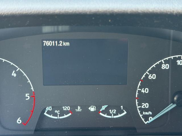 FORD Transit 290 2.0TDCi EcoBlue 130CV PM-TM Furgone ISOTERMICO