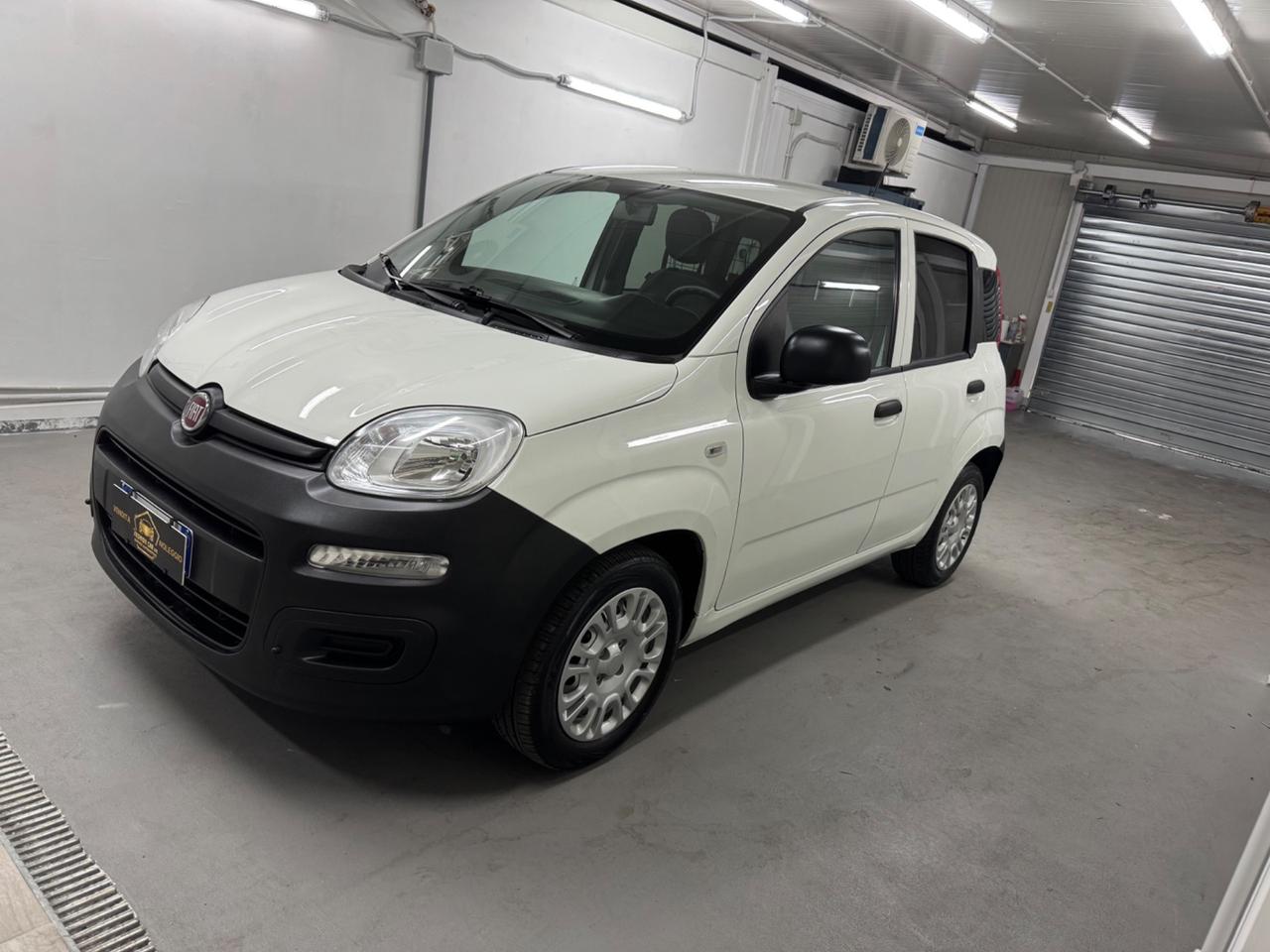 Fiat Panda 1.0 S&S Hybrid Van 2 posti