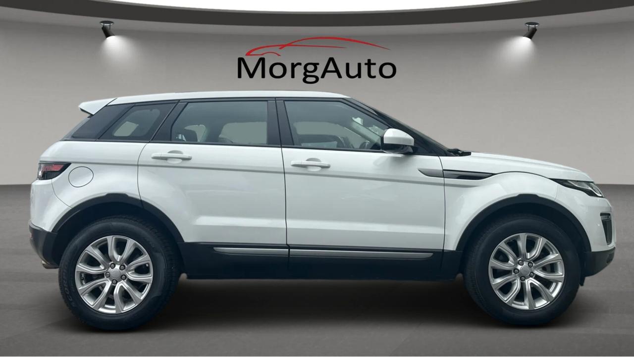 Range Rover Evoque 2.0 TD4 180CV Automatica, Pelle