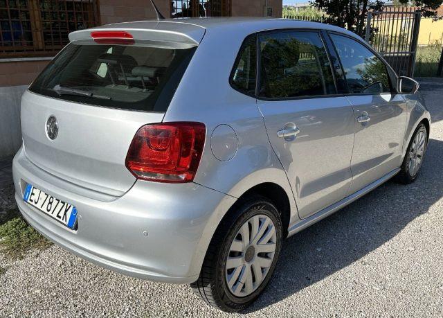 VOLKSWAGEN Polo 1.6 TDI 90CV DPF 5 Porte GARANZIA