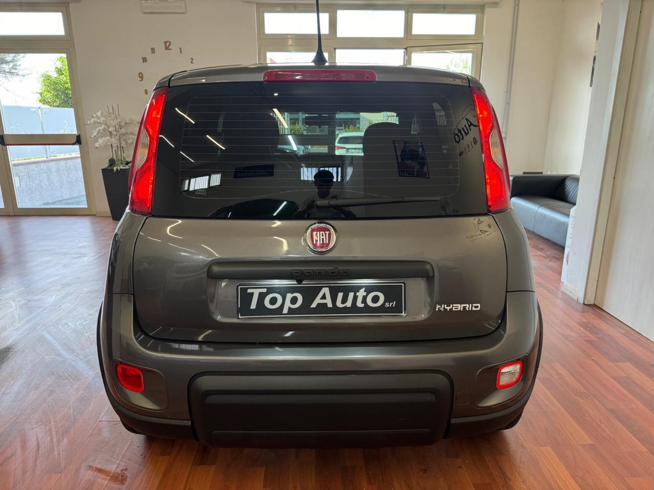 FIAT PANDA 1.0 FireFly S&S HYBRID SPORT - 2021