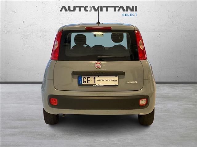 FIAT Panda 1.0 FireFly Hybrid 70cv City Life S&S