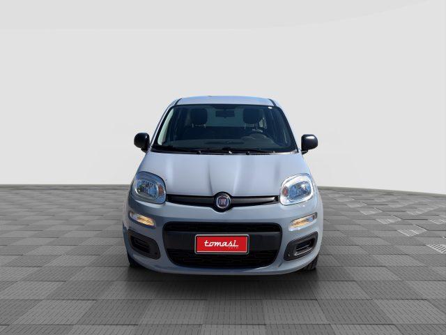 FIAT Panda Panda 1.2 69cv E6 POP