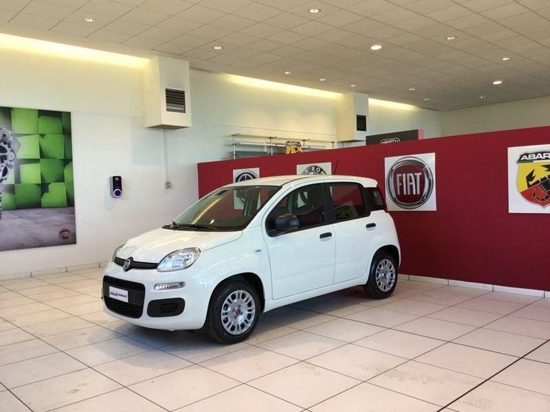 FIAT Panda Panda 1.0 FireFly S&S Hybrid S4 (5P)