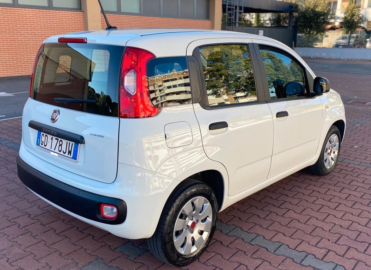 FIAT PANDA EASY 1.2cc IDONEA NEOPATENTATI