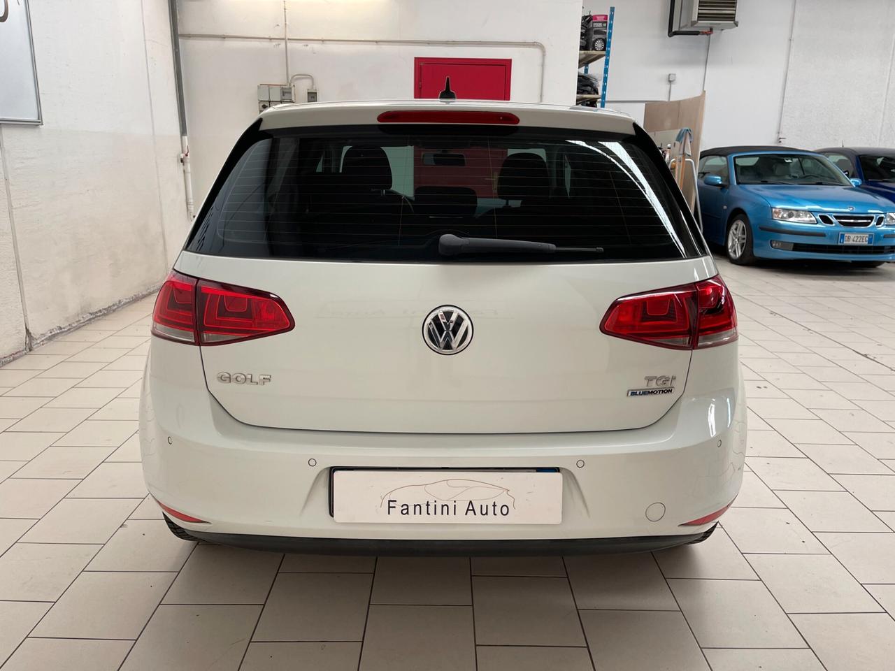 Volkswagen Golf HighLine Business 1.4 TGI Metano 5 porte-Ok Neopatentati-LEGGI SOTTO
