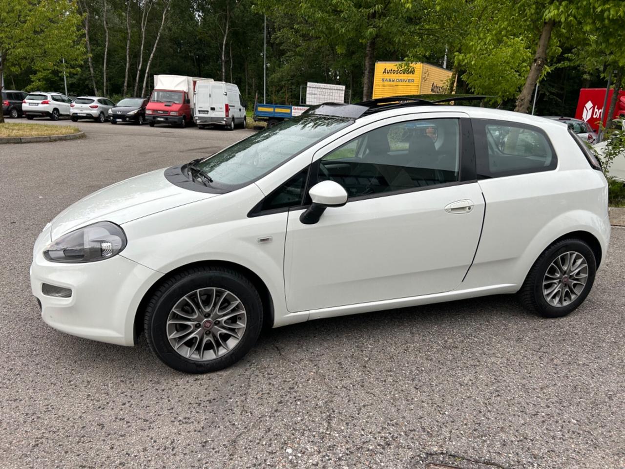 Fiat Punto 1.3 MJT II S&S 85 CV 3 porte ECO Pop*Neo patentati *