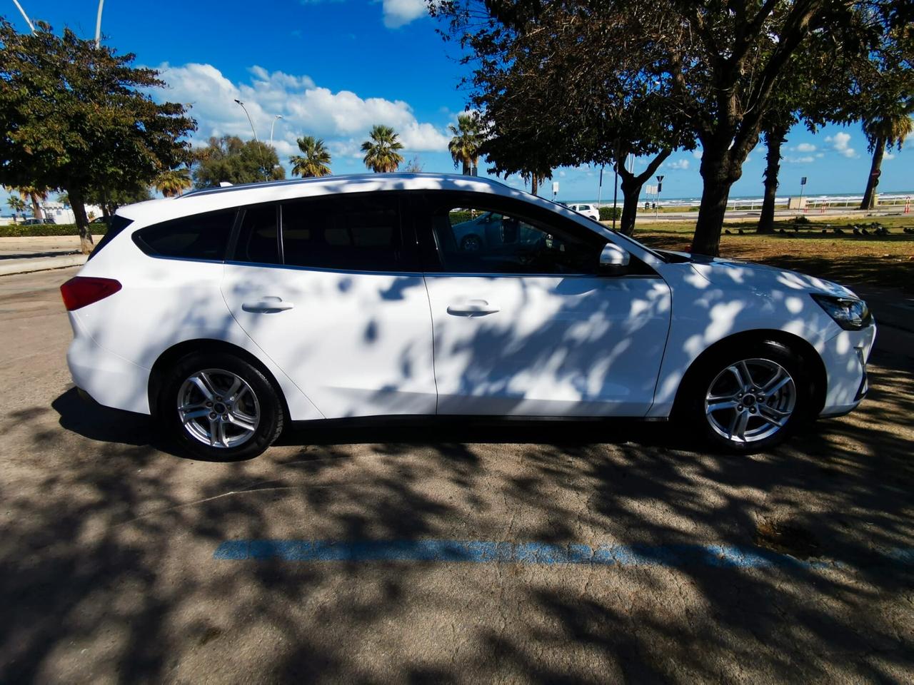 Ford Focus 1.5 EcoBlue 120 CV SW Business 2019