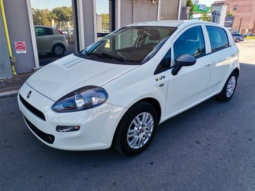 Fiat Punto 5 Porte Punto 5p 1.2 Young c/navi,radio