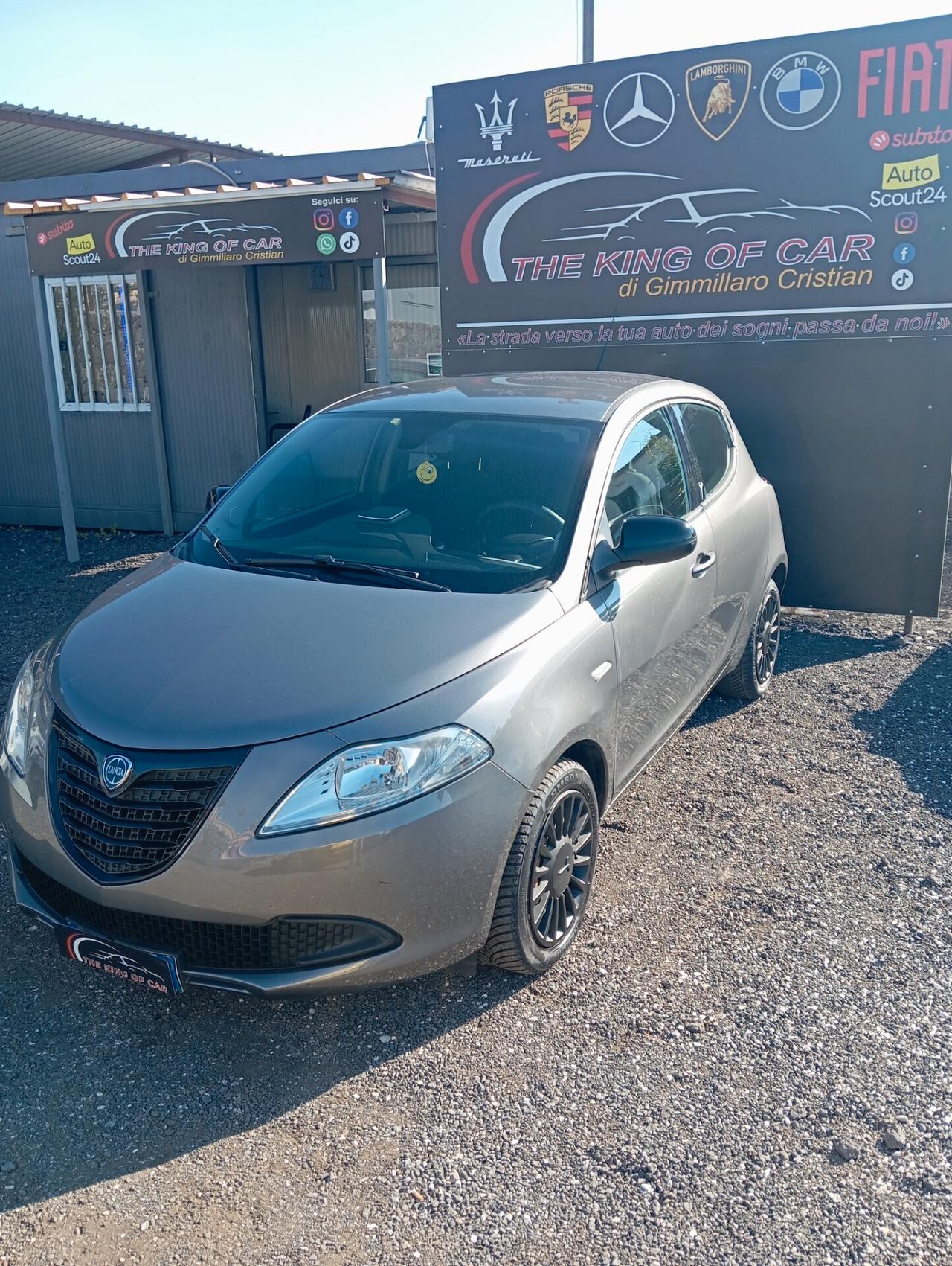 Lancia Ypsilon 1.2 69 CV 5 porte Elefantino[2015]