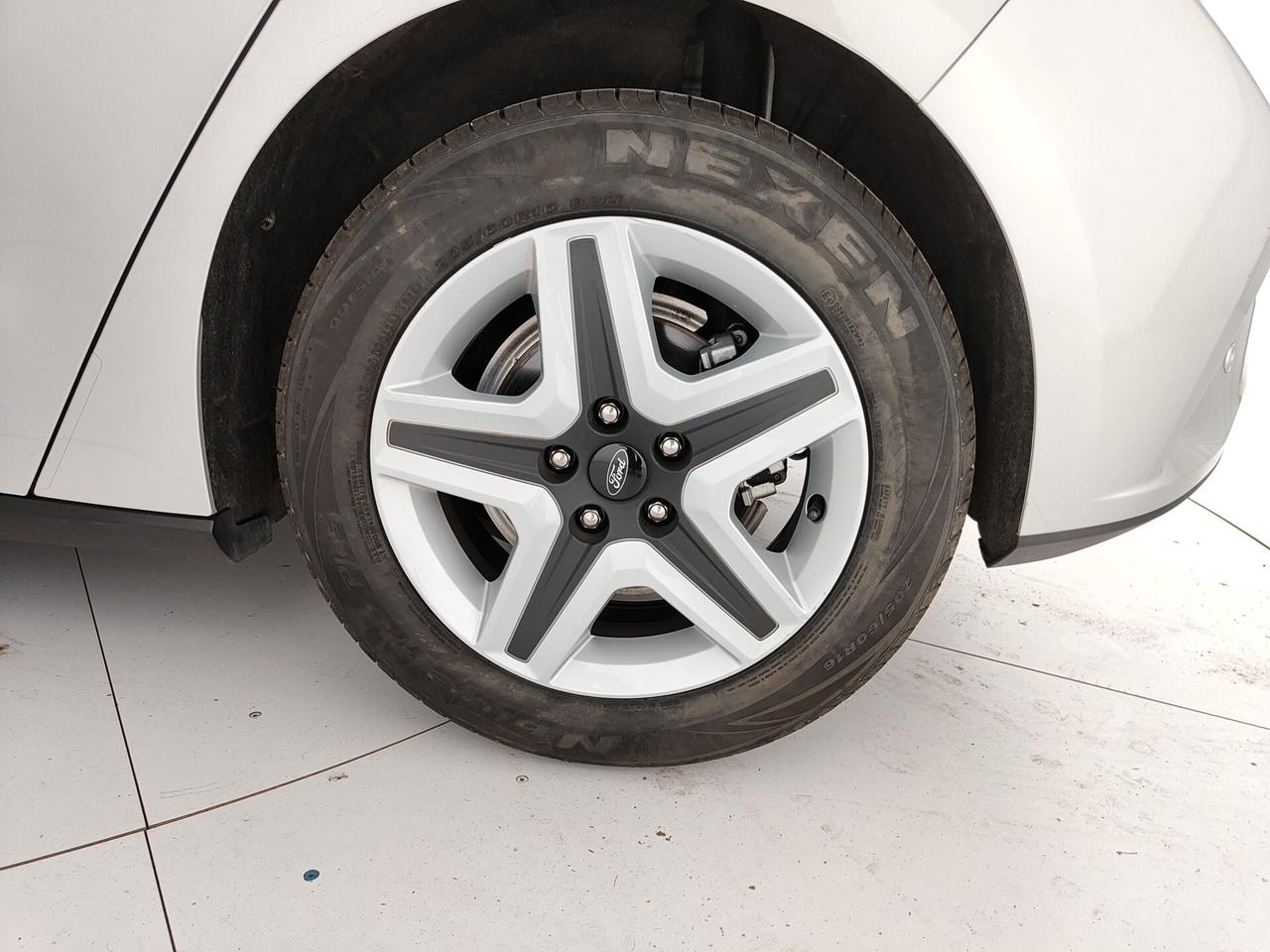 Ford Focus 1.5 EcoBlue 120 CV 5p. aut. Business