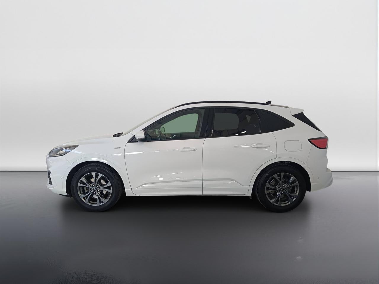 FORD Kuga III 2020 - Kuga 1.5 ecoblue ST-Line X 2wd 120cv