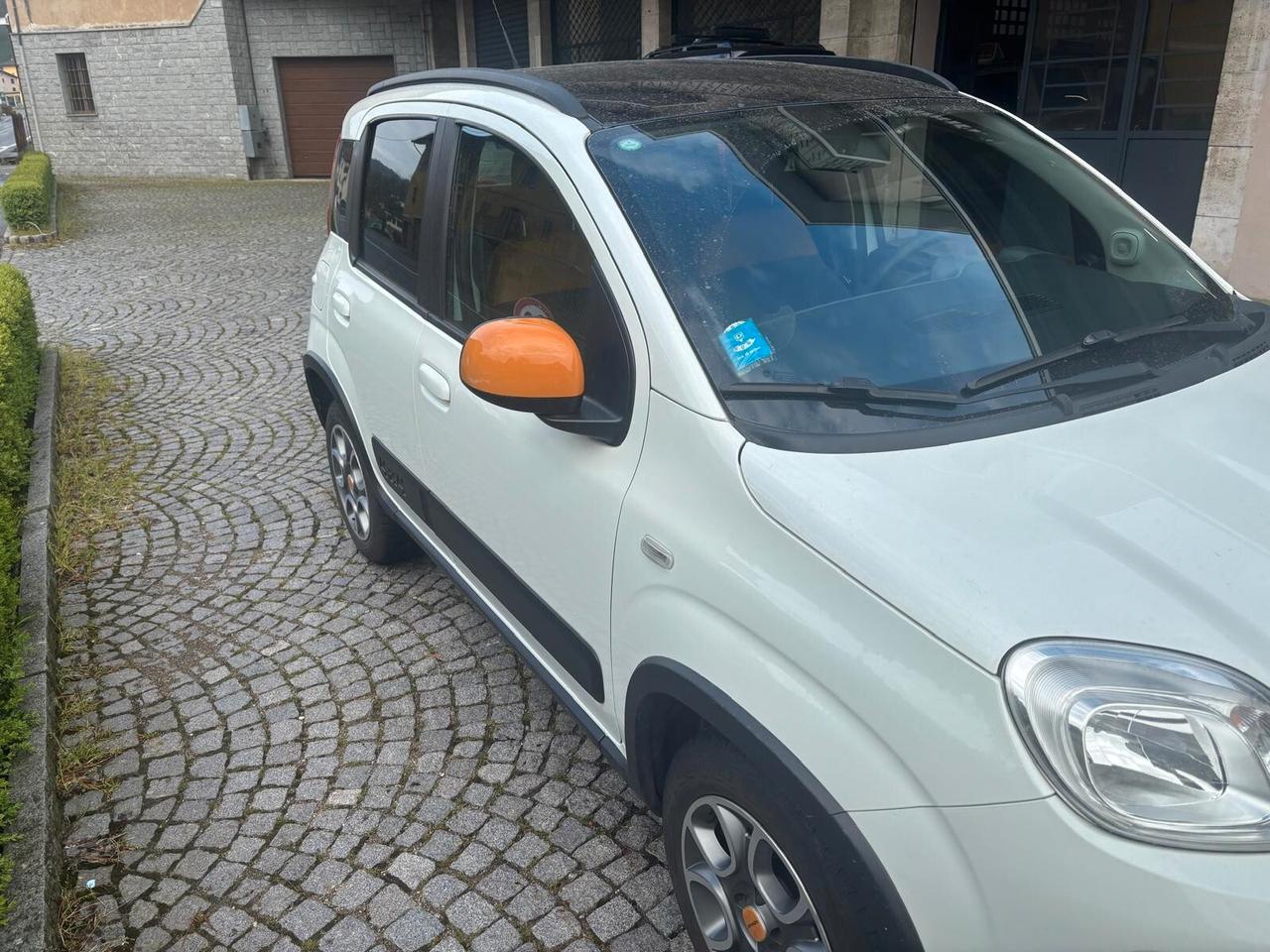 Fiat Panda 1.3 MJT S&S 4x4 Antartica